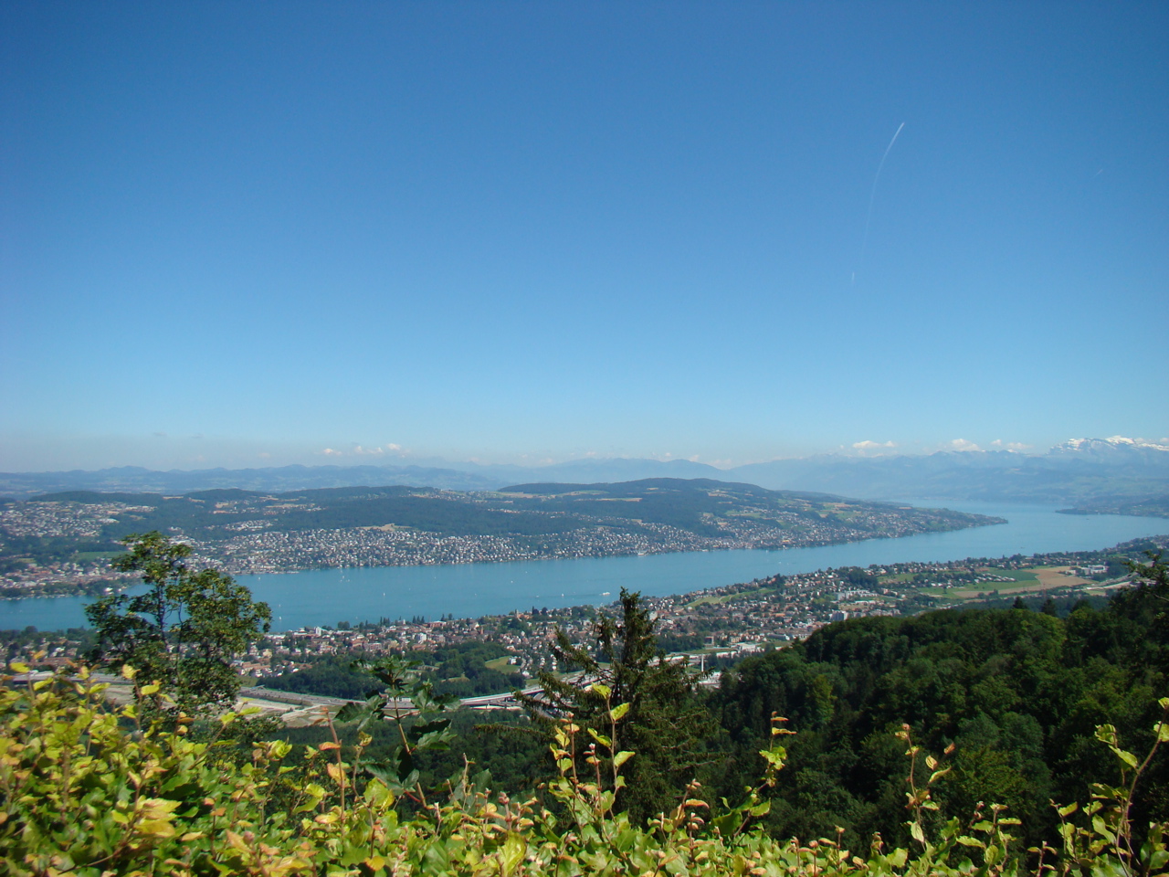 Zürichsee