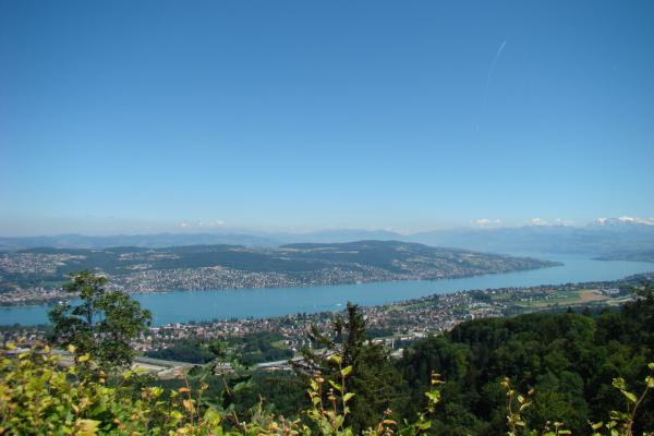 Zürichsee