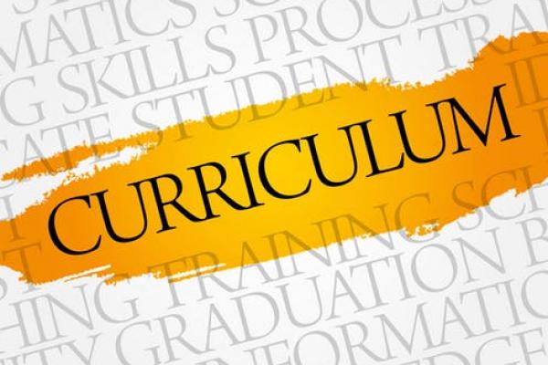 Curriculum